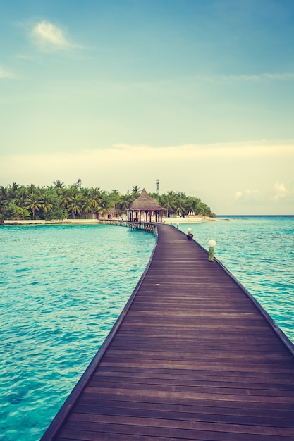 Tree sky nature landscape maldives Photo | Free Download