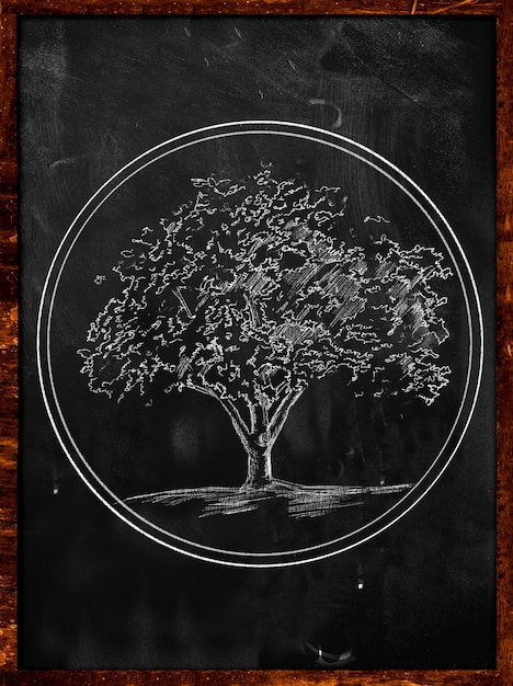 Free Photo | Tree symbol sketch on blackboard