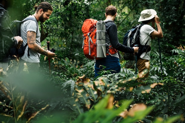 Trekking in a forest Free Photo