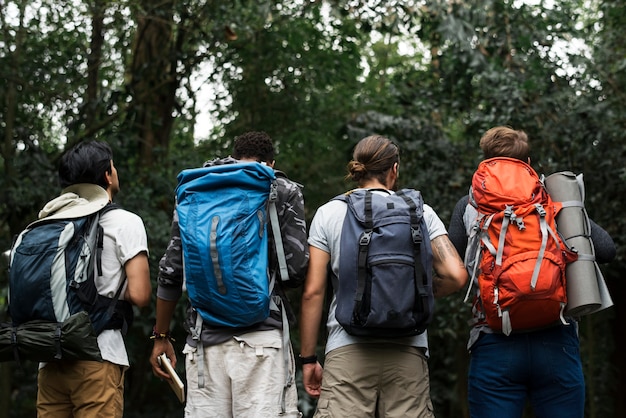 Trekking together in a forest Free Photo