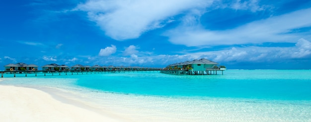 Tropical beach in maldives with few palm trees and blue lagoon Premium Photo