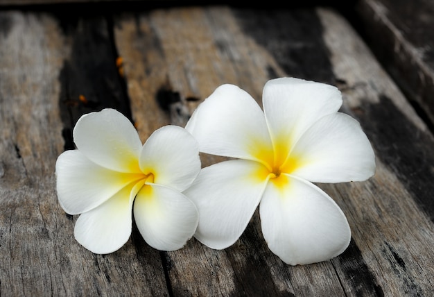 Premium Photo | Tropical flowers frangipani on wood