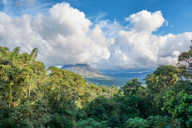 Premium Photo | Tropical forests with volcano at arenal national park ...