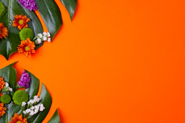 Free Photo | Tropical orange background