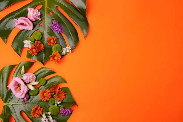 Free Photo | Tropical orange background