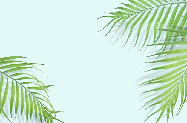 Premium Photo | Tropical palm leaves on light blue background.