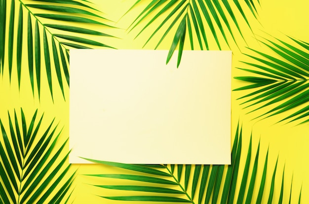 Tropical palm leaves on pastel yellow background with paper card note. minimal summer concept. green leaf on punchy pastel paper Premium Photo