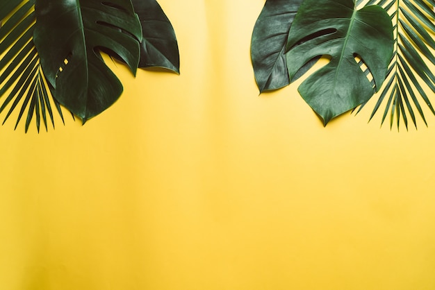 Premium Photo | Tropical palm leaves on yellow background with copyspace