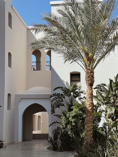 Premium Photo Tropical Palm Tree With Lush Green Leaves Near Beige House Resort Building In Front Of Blue Sky