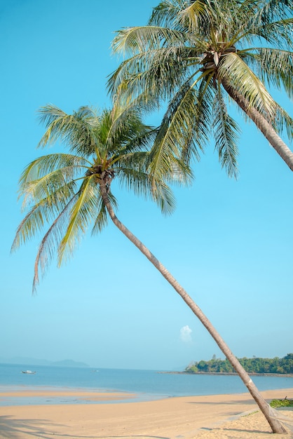 Premium Photo Tropical Paradise Beach With Caribbean Sea And Coconut Palm