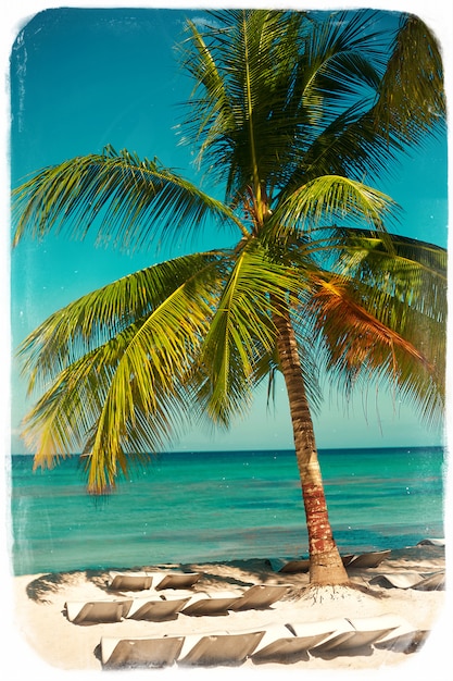 ヤシの葉の木の枝の海と空の背景と熱帯の夏のビーチ 無料の写真