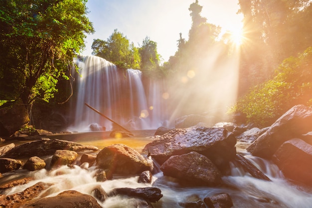 Tropical Waterfall In The Morning Premium Photo