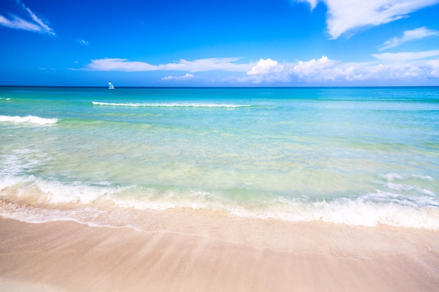 Premium Photo | The tropical wonderful beach of varadero in cuba with ...