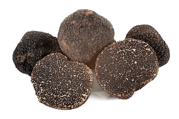 tuber-melanosporum_87557-14125.jpg