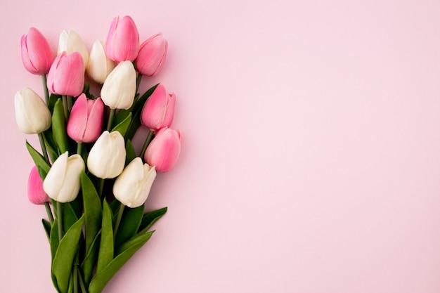 Tulips bouquet on pink background with copyspace Free Photo