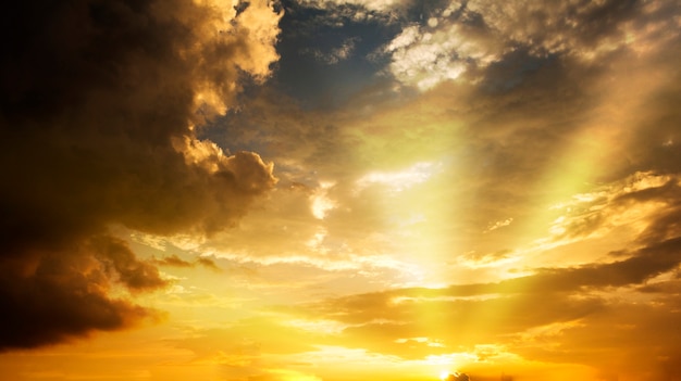 Premium Photo | Twilight sky and golden light with silhouette tree ...