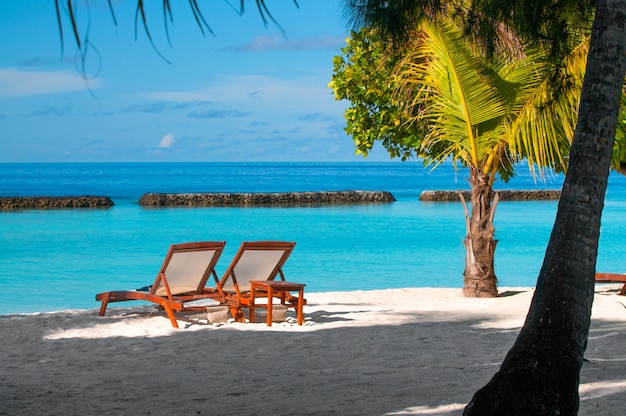 beach sand chairs