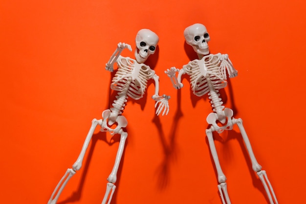 Premium Photo | Two fake skeletons on orange bright. halloween ...