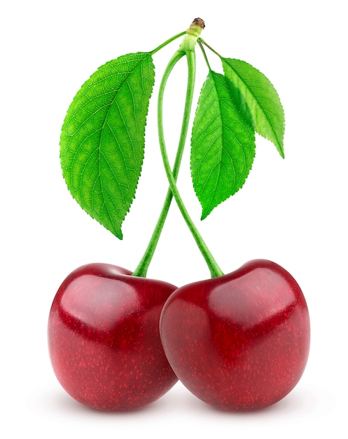 Premium Photo Two Fresh Cherries On White Background