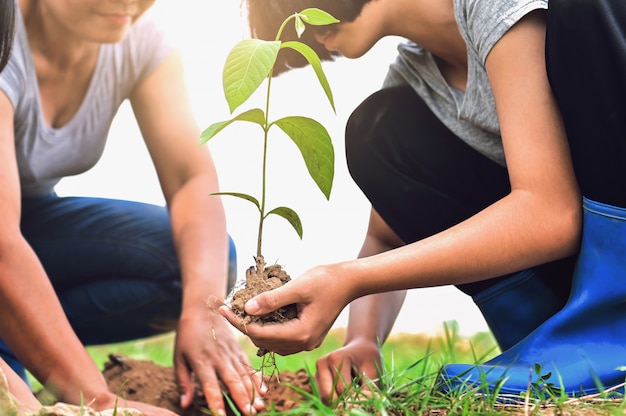 premium-photo-two-people-helping-and-planting-tree-in-nature-for-save