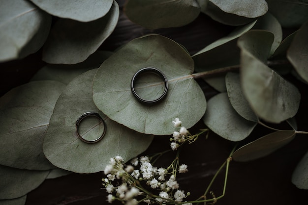 Two rings on heart-shaped green leaves Free Photo