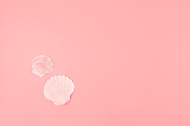 ピンクの背景の2つのホタテ貝殻 無料の写真