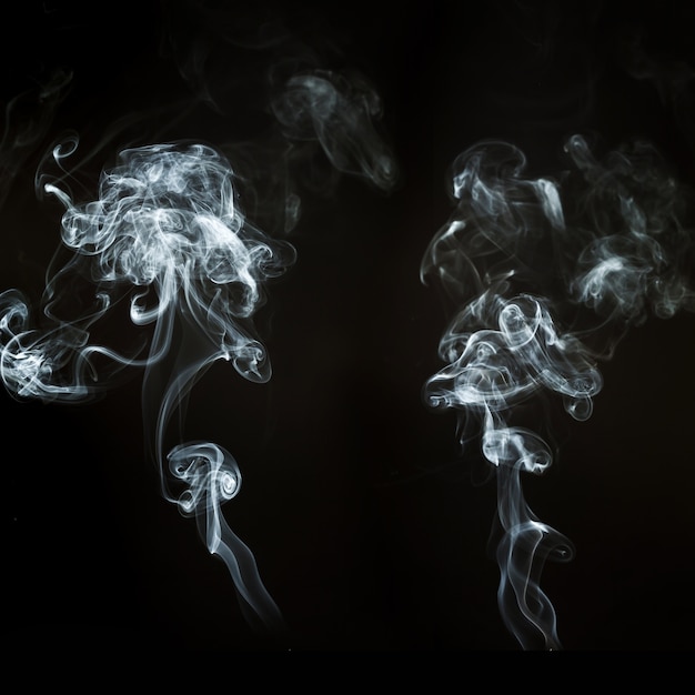 Free Photo | Two silhouettes of smoke with wavy shapes