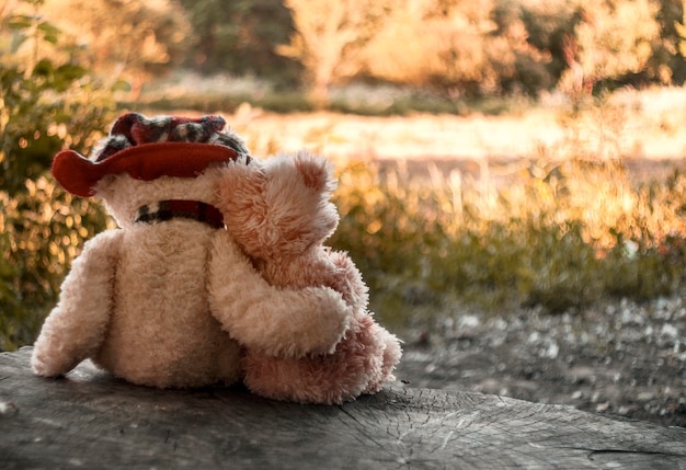 two teddy bears hugging