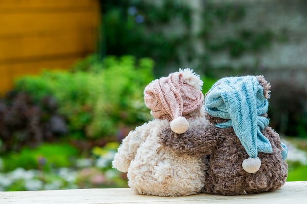 Premium Photo Two Teddy Bears Sitting On The Bench And Hugging Each