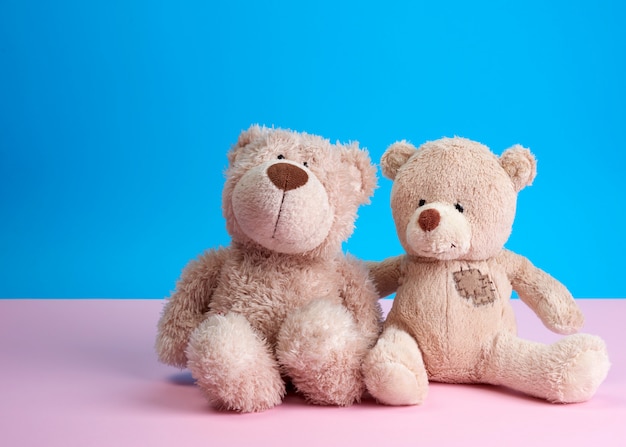 beige teddy bears