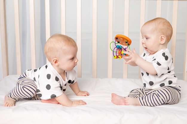 生後8ヶ月の2人の双子の赤ちゃん 1歳までの子供の早期発達 兄弟姉妹の子供の関係の概念 テキストのための場所 プレミアム写真