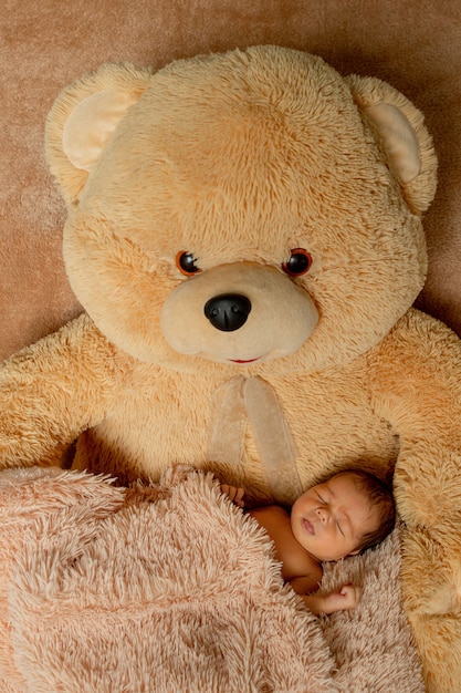 teddy newborn