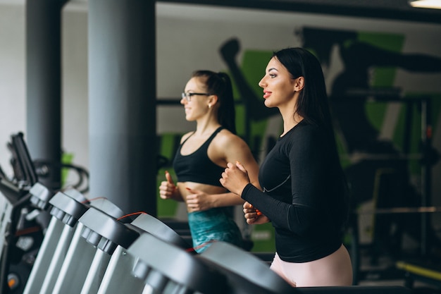 Two women training together at gym Free Photo