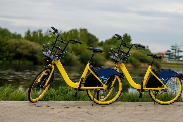 Two yellow city bikes by the lake. Premium Photo