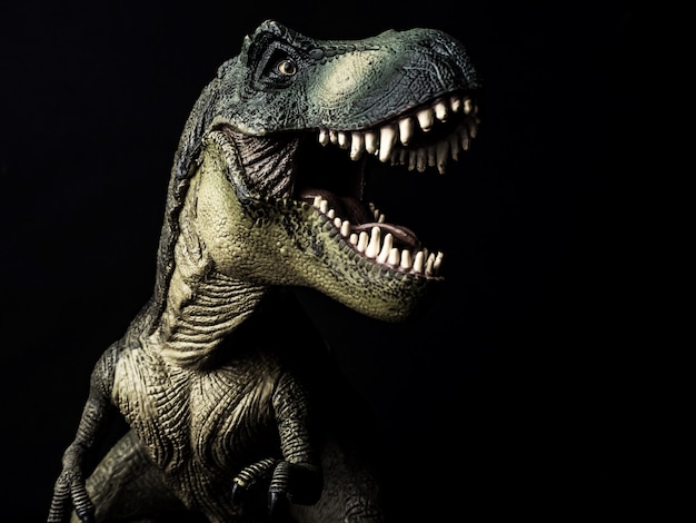 Premium Photo | Tyrannosaurus t-rex dinosaur on black background