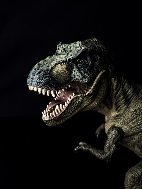 Premium Photo | Tyrannosaurus t-rex dinosaur on black background