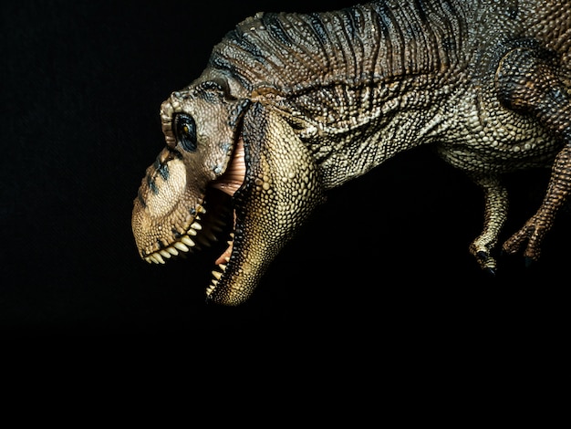 black tyrannosaurus rex