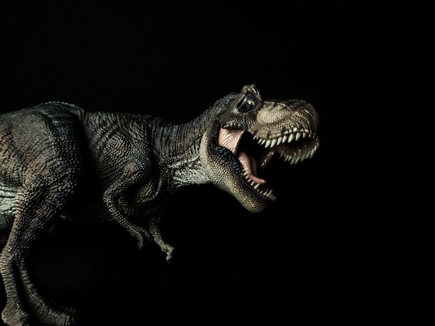 黒のティラノサウルスtレックス恐竜 プレミアム写真