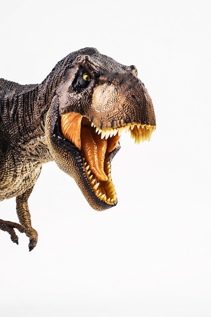 Premium Photo | Tyrannosaurus t-rex ,dinosaur on white background