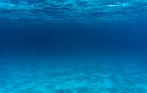 水中の海 嵐 神秘的な プレミアム写真