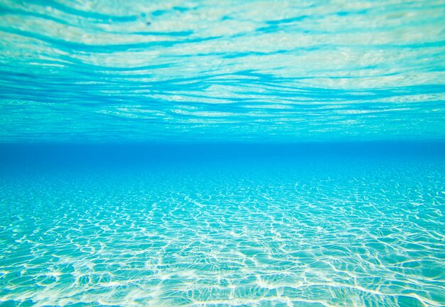 Premium Photo | Underwater scene background