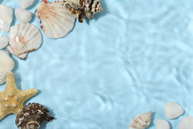 Premium Photo | Underwater surface with seashells