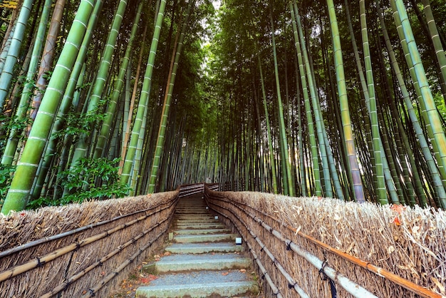 Premium Photo Upstair Path To Bamboo Forest At Adashino Nenbutsuji Temple In Arashiyama Kyoto Japan