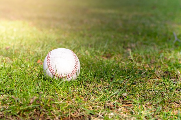 Premium Photo | Used baseball laying on green grass