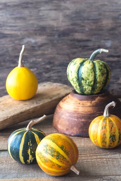 Premium Photo | Variety of ornamental pumpkins