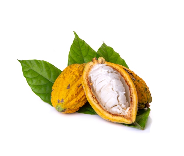 Various of fresh cocoa fruits with half sliced and green leaf isolated on white background Premium Photo