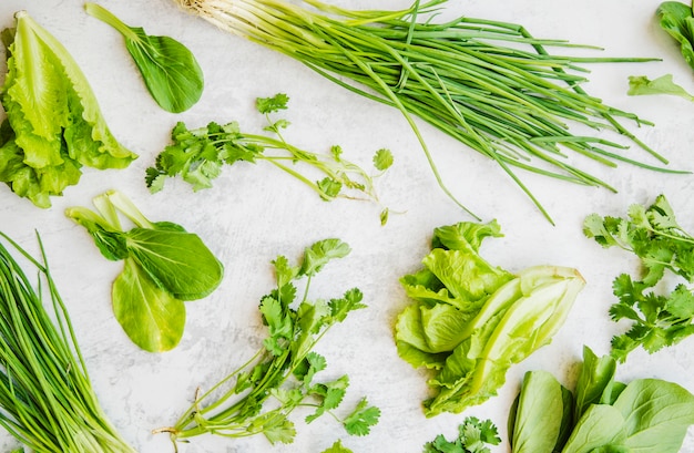 Various green leafy vegetables on white background Free Photo