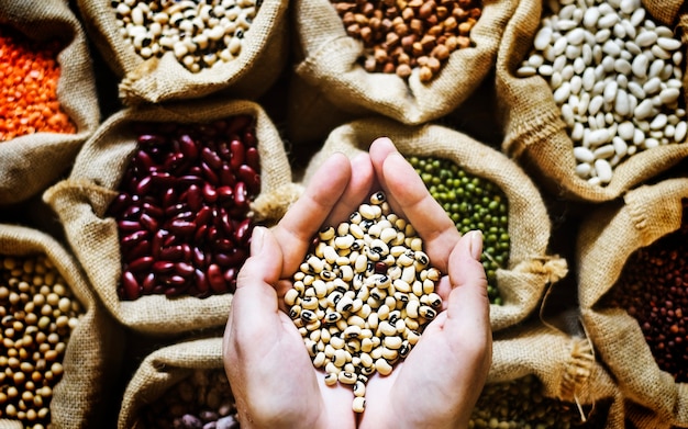 Premium Photo | Various of legumes