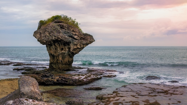 花瓶岩は 台湾屏東県の琉球島沖の沿岸サンゴ礁の隆起によって形成されました プレミアム写真