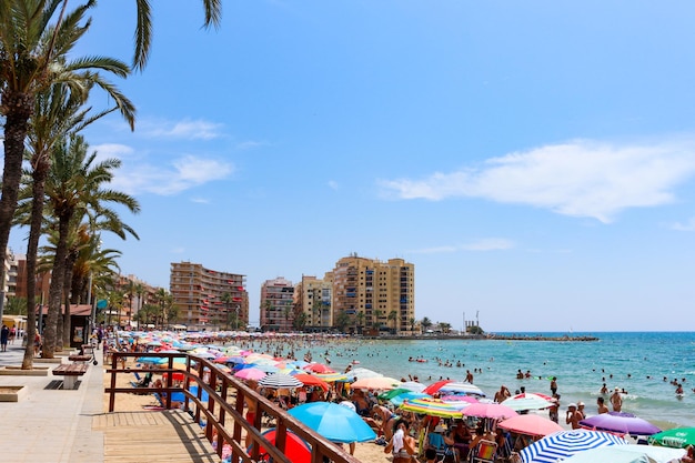 Premium Photo | Vega baja del segura torrevieja playa del cura piscinas ...